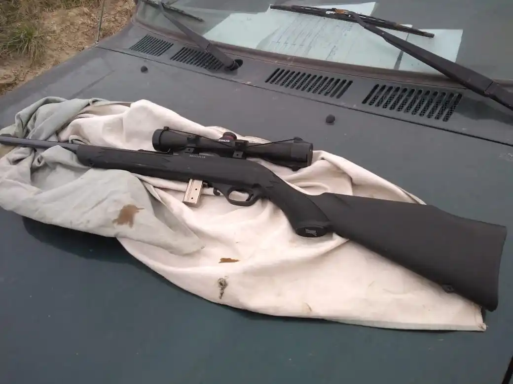 Secuestran un arma y pescado transportado de manera ilegal