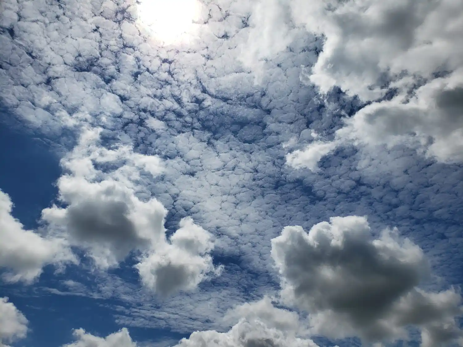 Hay alerta por tormentas en gran parte del territorio provincial