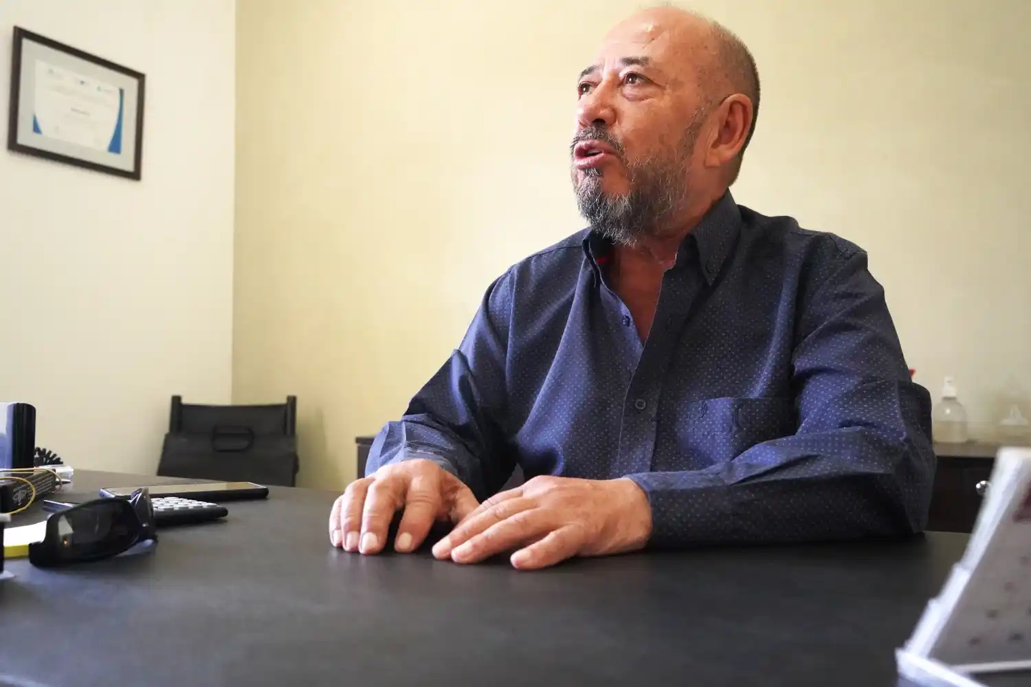 Molina gastronómicos