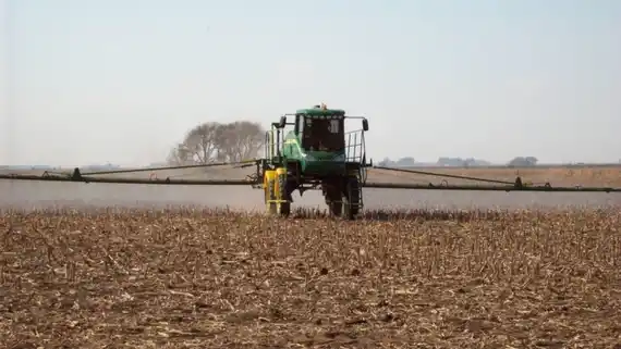 La Justicia dio lugar a amparo ambiental por fumigación en Colonia Ensayo