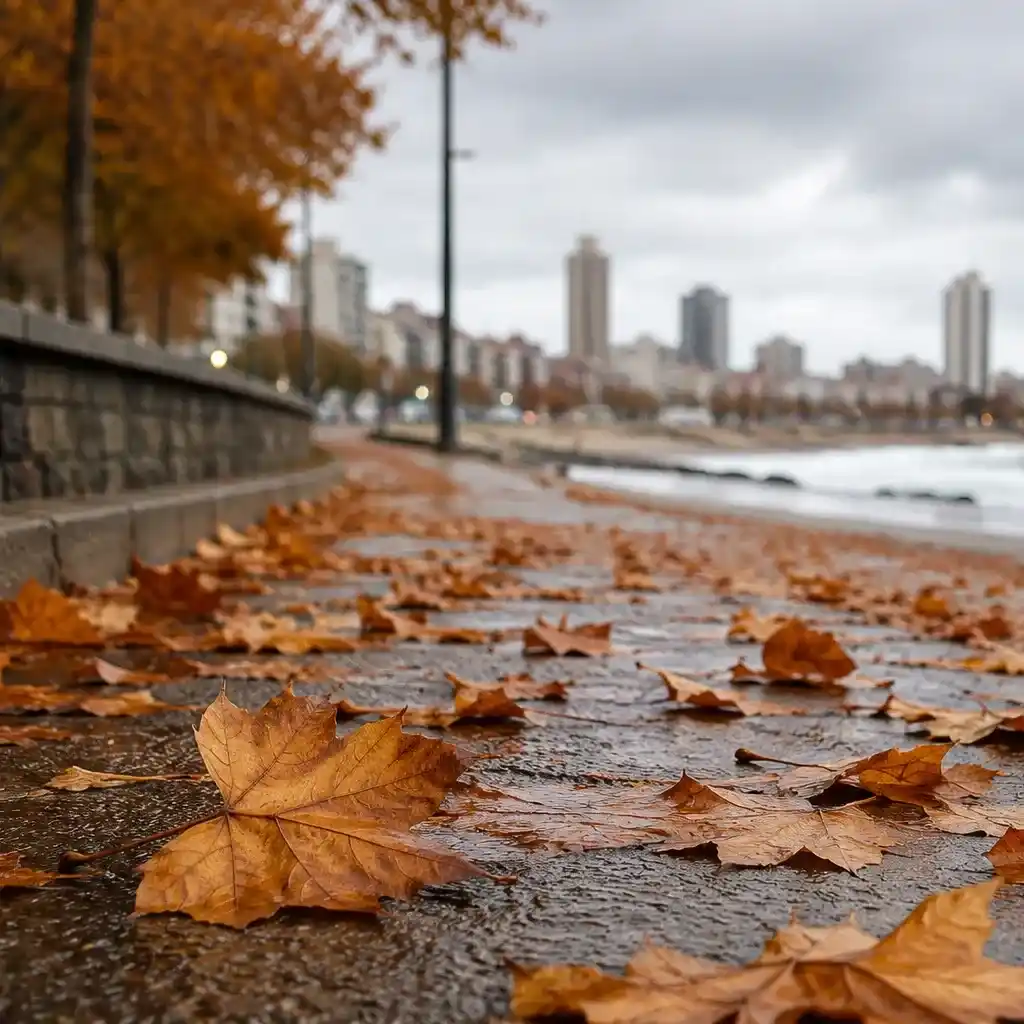 El clima en la ciudad se presenta este viernes con cielo mayormente cubierto y temperaturas frescas desde las primeras horas de la mañana.