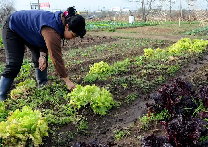 Inflación y recesión obstaculizan el repunte de economías regionales