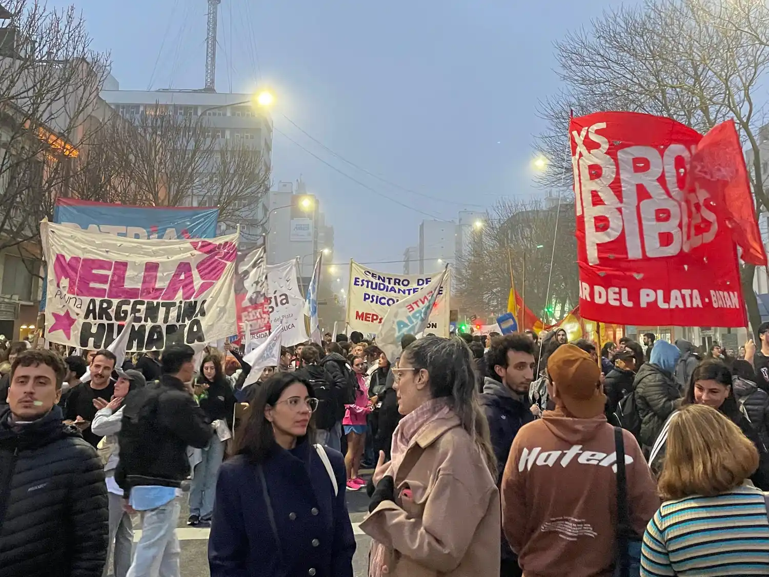 Imágenes de la marcha