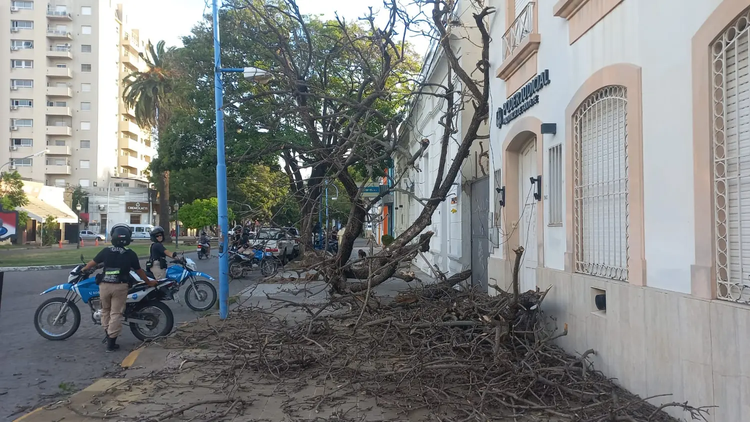 Gran susto en Bv. Lehmann: un árbol cayó a pocos centímetros de una vecina que pasaba caminando