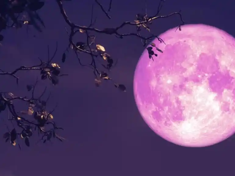 Hoy iluminará la Luna de Fresa: a qué hora se ve mejor desde Gualeguaychú y qué significa