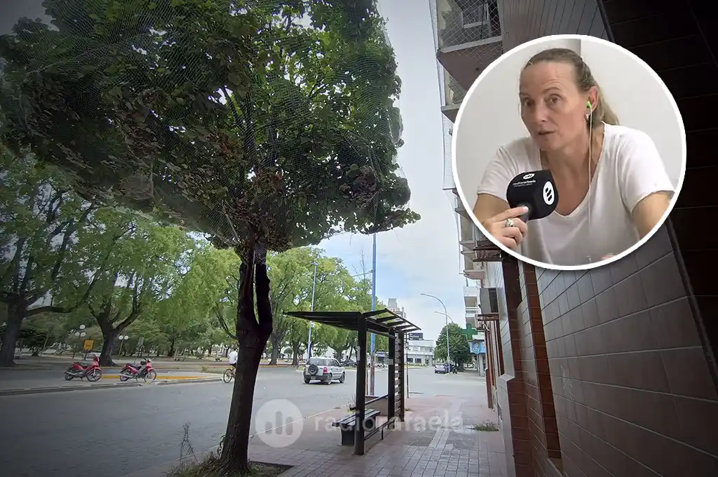 Nuevas estrategias para controlar las aves en el microcentro: “El objetivo es generarles nuevos espacios”