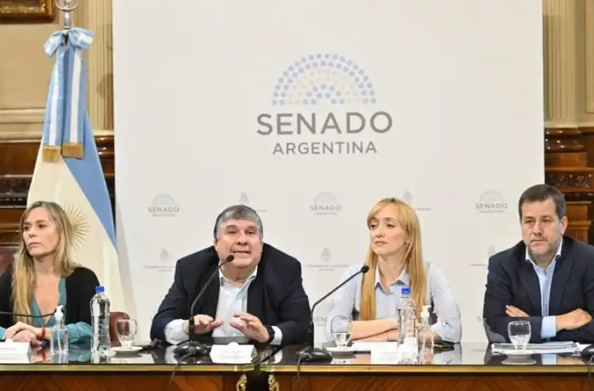 Quiénes podrán acceder al plan de regularización de deudas previsionales