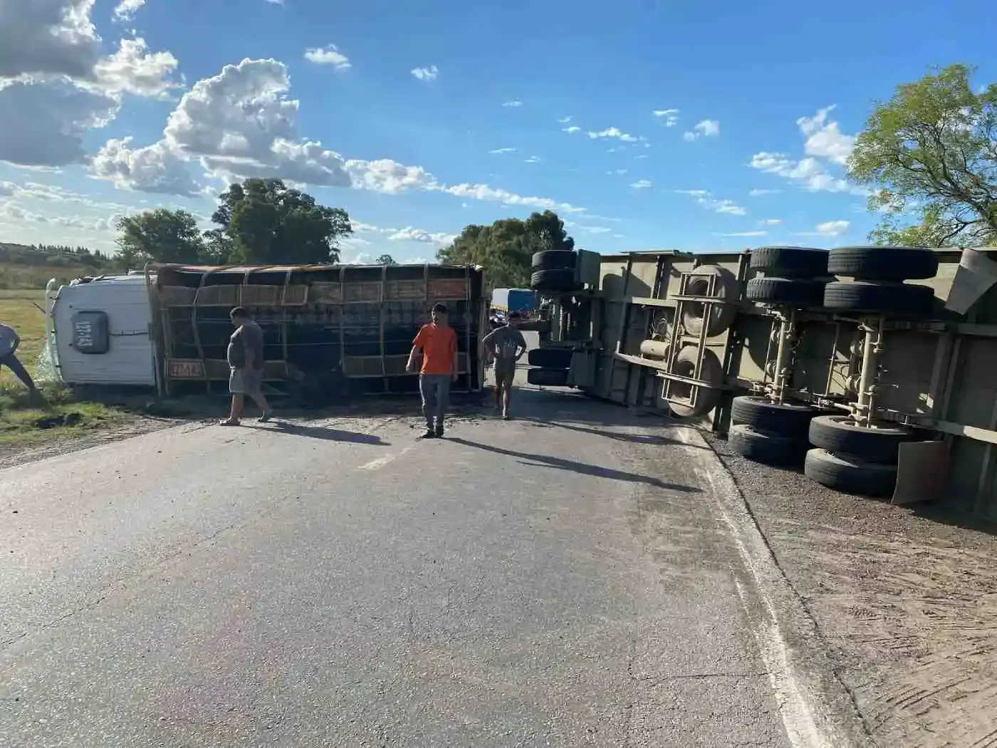 Trágico accidente en Las Flores: volcó un camión con vacunos en Ruta 3 y varios animales murieron