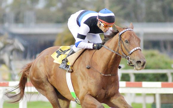 Turf: Tridente jerárquico en San Isidro