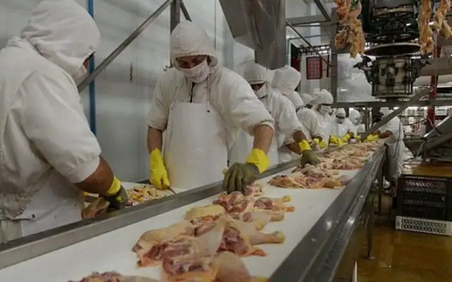 Prometen reducir a la mitad el IVA
para las carnes porcinas y avícolas
