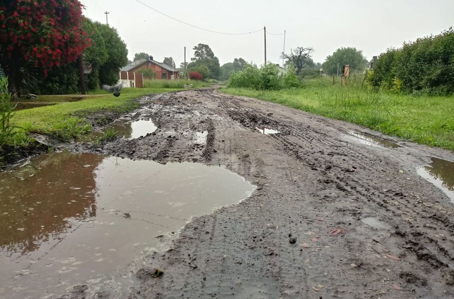 Fomentistas denuncian la ausencia del municipio en los barrios