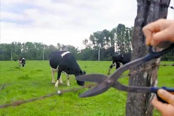 Preocupación por la ola de delitos rurales: Concejales del PJ piden que se retome la mesa interinstitucional de seguridad
