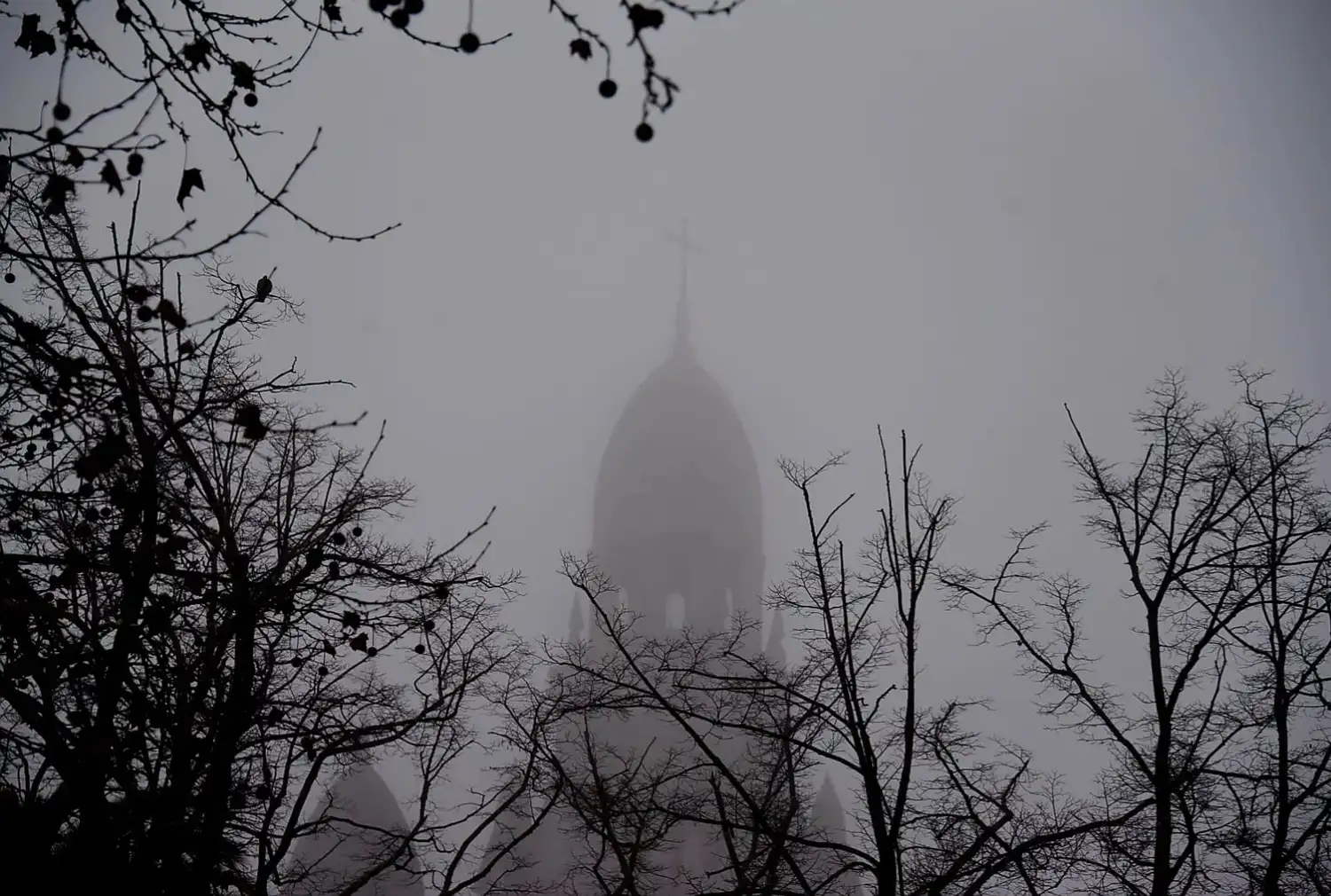 niebla en Tandil - 8