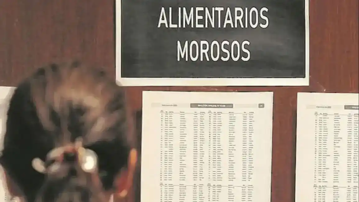 cuota alimentaria - 2