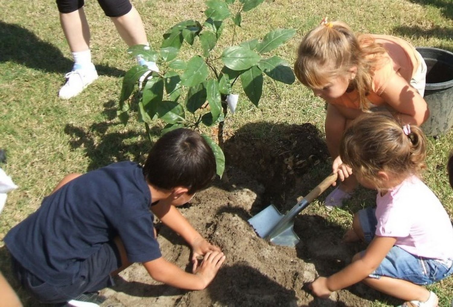 Homenajearán a funcionarios de la Nación y la provincia, pioneros en gestión ambiental
