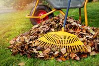 Descubrí cómo utilizar la hojarasca para mejorar tu jardín