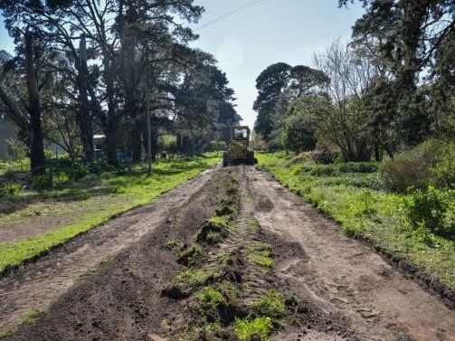 Además de la reparación de calles se llevaron a cabo tareas de conservación en 291.000 metros cuadrados de espacios públicos.