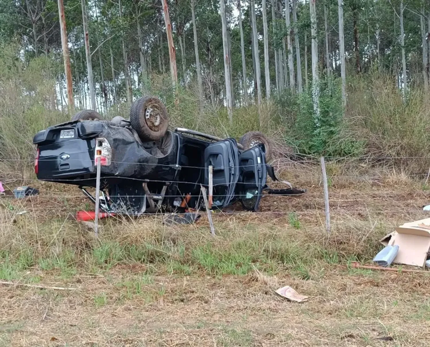 Una camioneta volcó en la autovía 14 y falleció una mujer