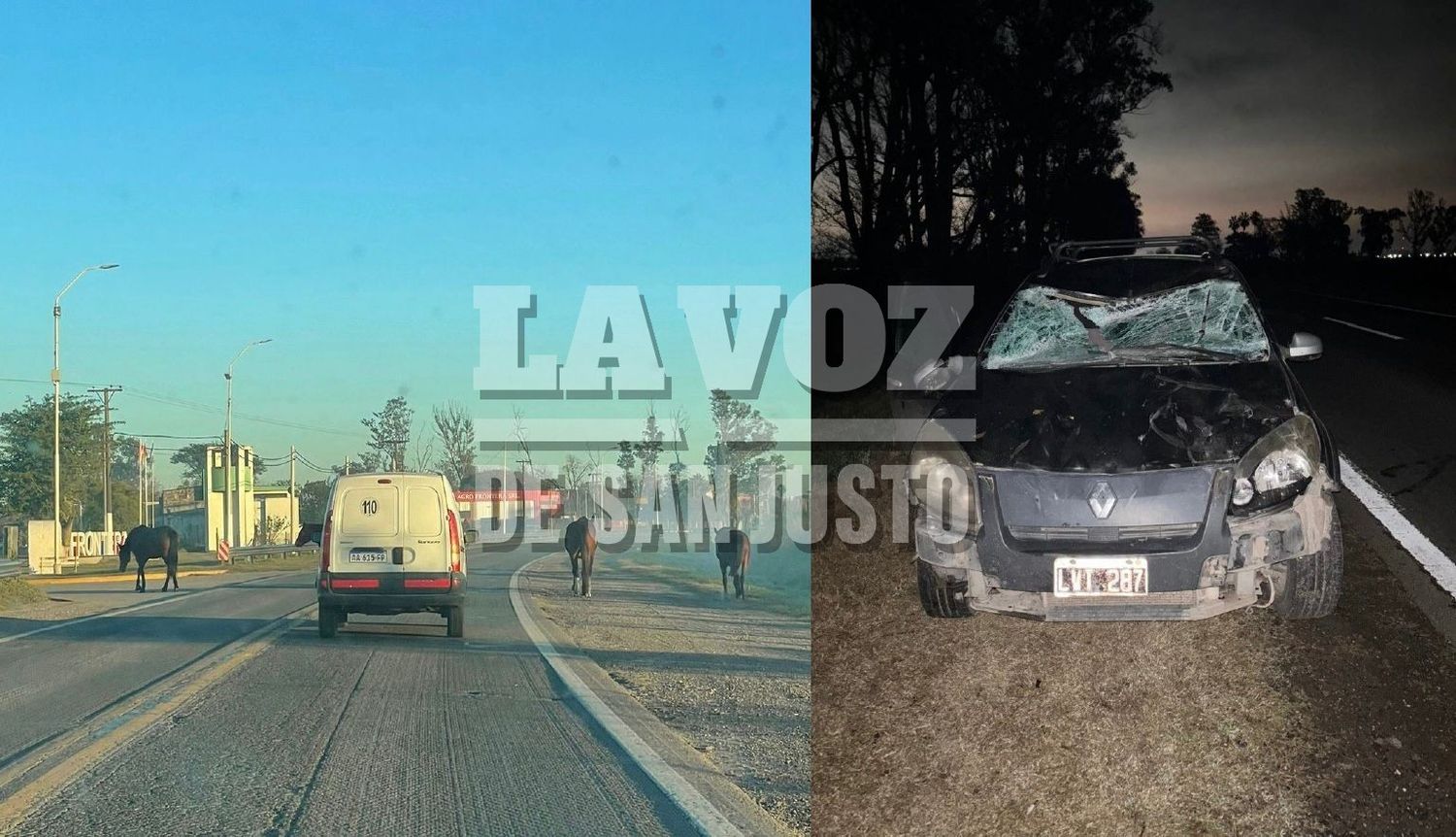 Caballos sueltos, un problema sin fin. Así quedó el auto involucrado en el accidente.