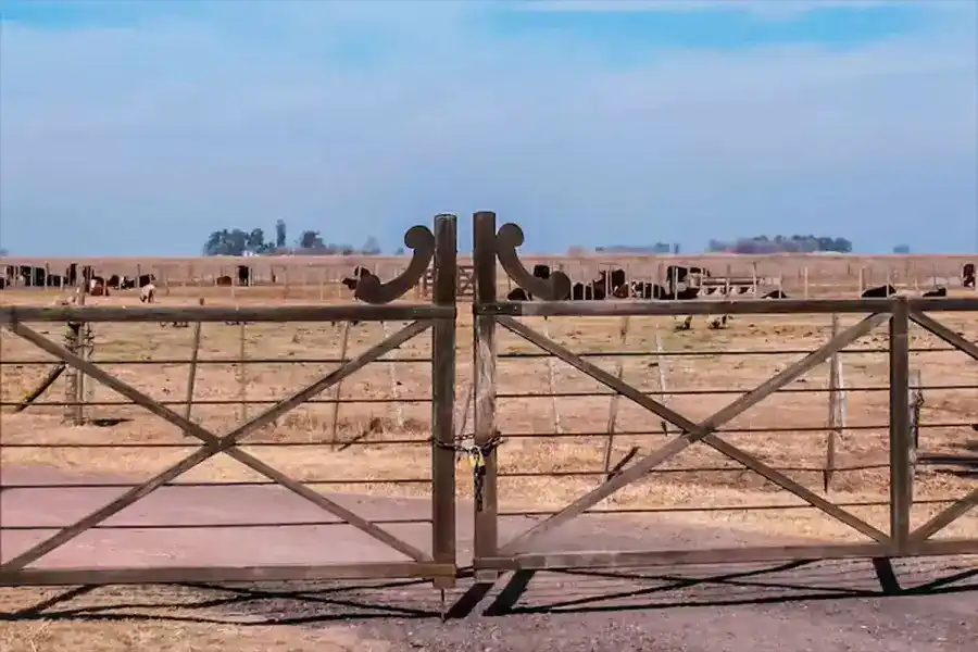 campo - 2