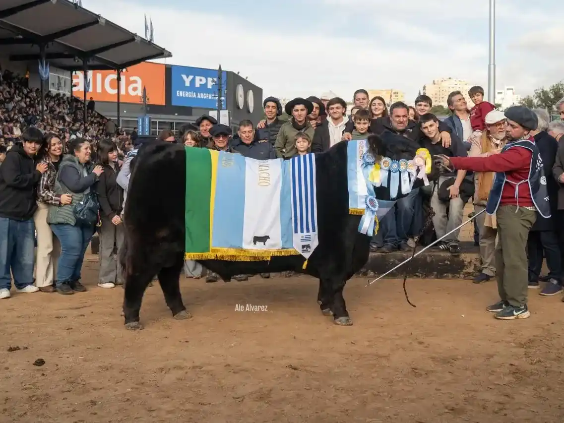 El mejor Angus del país salió de la Cabaña Don José, de La Dulce
