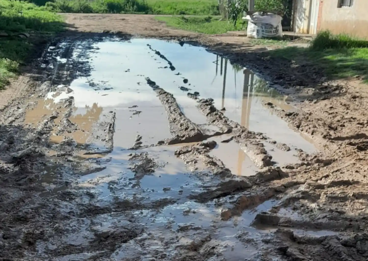 Reclamos por el estado de la calle Rafael Obligado al 2200