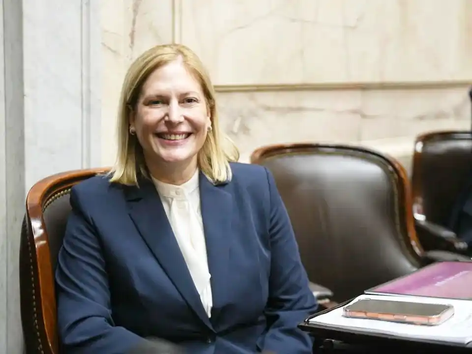 Vuelve nuevo proyecto de Ficha Limpia al Congreso tras el revés del año pasado