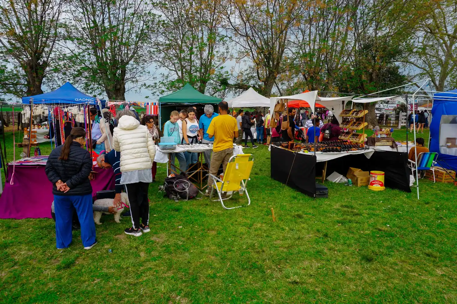Preparativos para una nueva edición de la Exposición Rural
