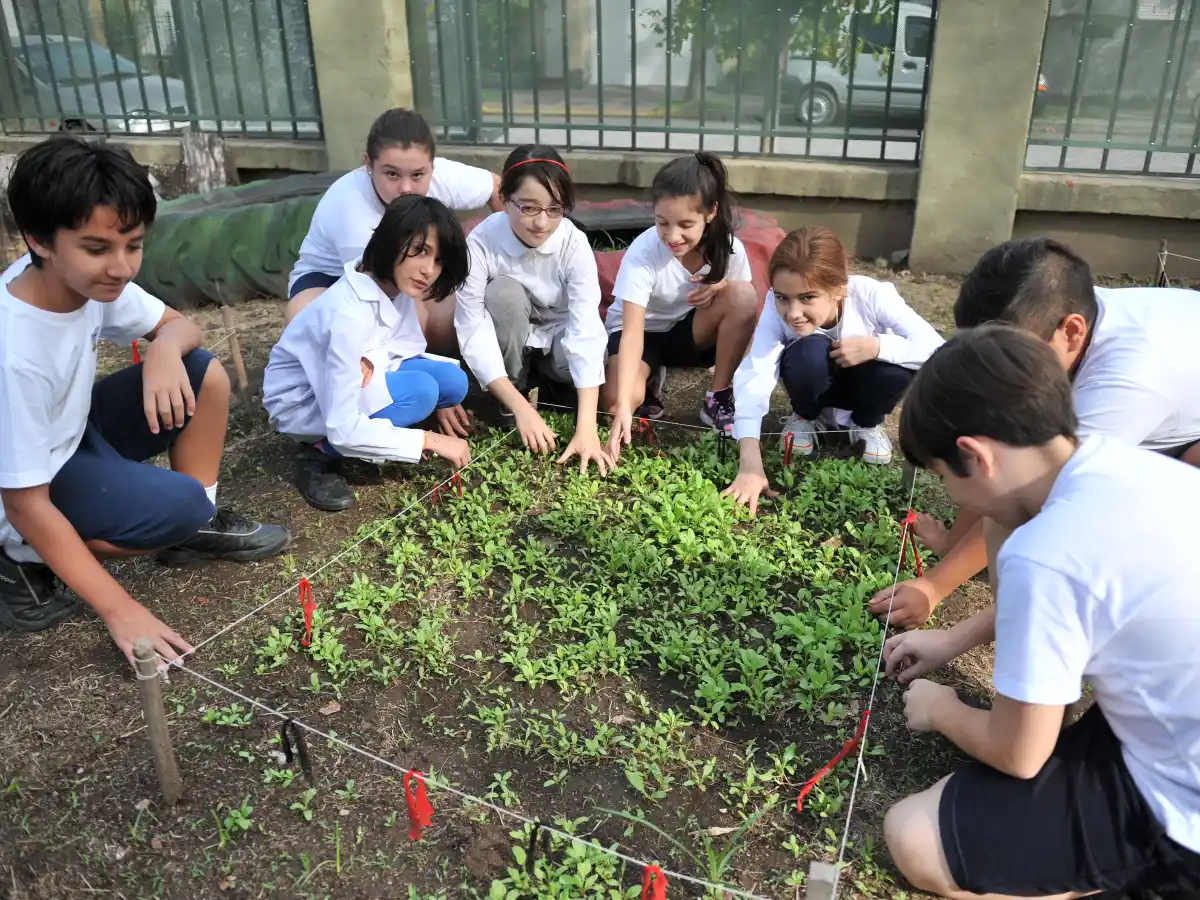 Ser quintero, un oficio que no se extingue y alimenta el  interés de la huerta propia  