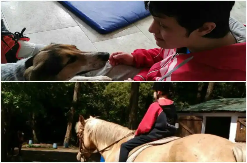 Terapia asistida con animales, una alternativa que crece