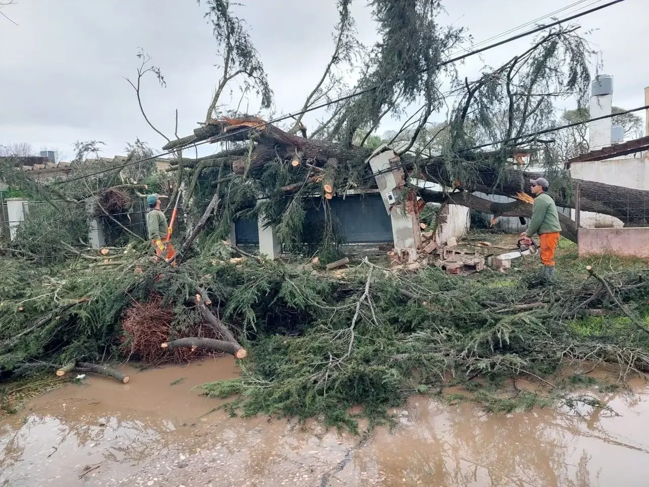 La provincia asiste a localidades del sur santafesino tras el duro temporal que azotó a la región