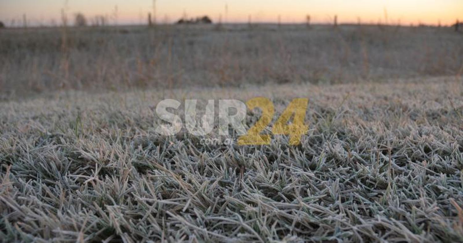 Se anuncian, desde el lunes 16, fuertes heladas en la región