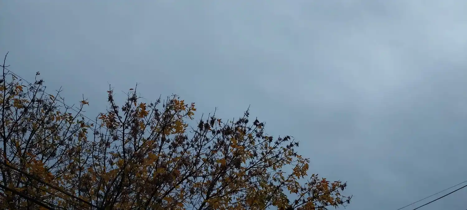 Anuncian lluvias y tormentas para la tarde noche de este domingo