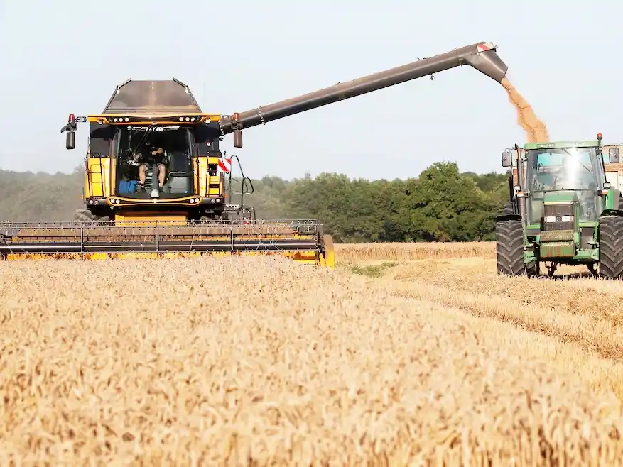 Récord histórico para la cosecha del trigo argentino