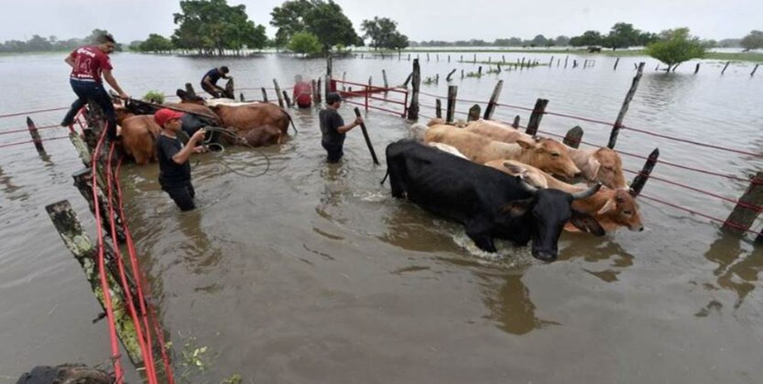 ZULIA EN ALERTA ante inundaciones por lluvias (+VIDEO)