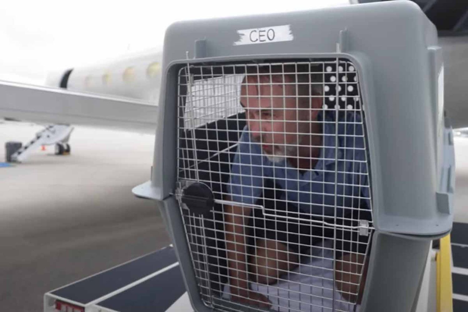 CEO de una aerolínea experimenta cómo viajan las mascotas en vuelos regulares