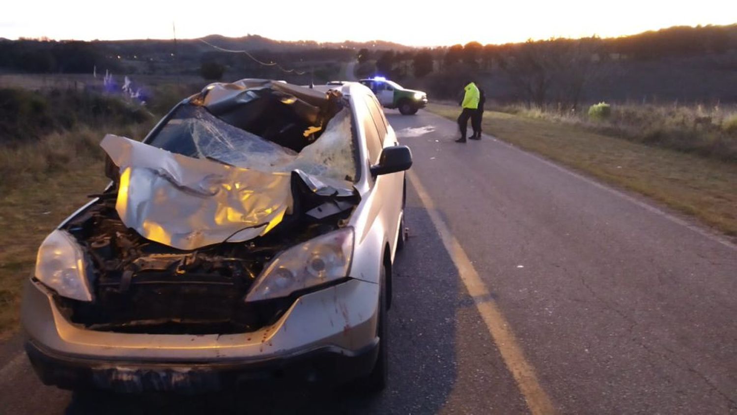 Conductor quedó internado en terapia intensiva tras embestir un caballo con su camioneta