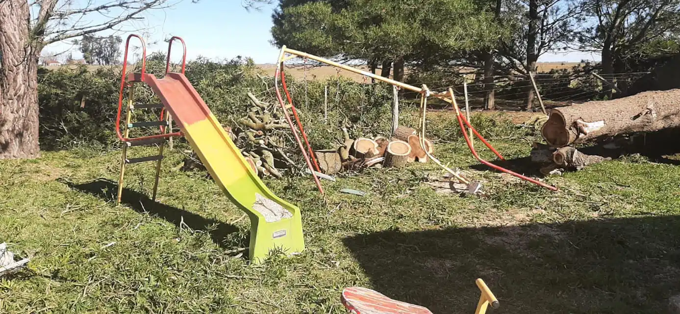 Arduo trabajo en Pila tras el temporal de viento y lluvia sufrido ayer