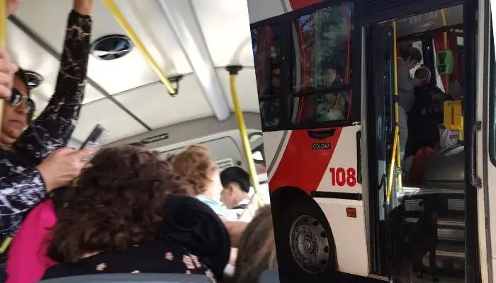 Transporte público: “Exigimos otro colectivo”