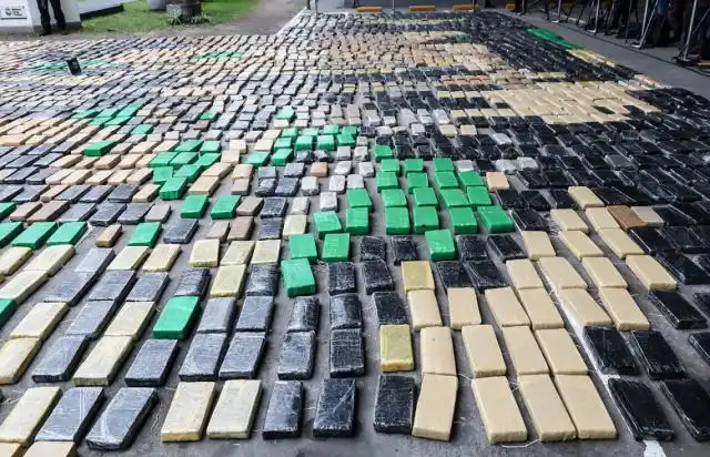 "Operación Papeles Verdes": incautan más de cinco toneladas de marihuana
