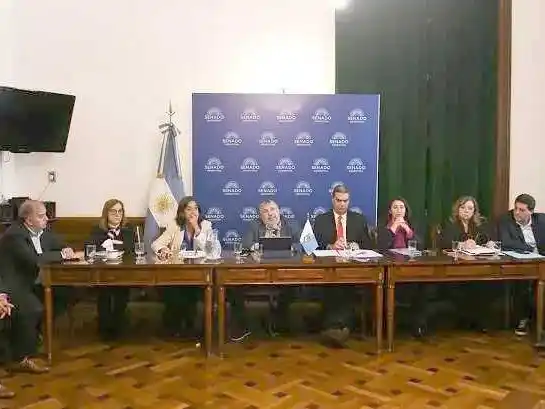 Legisladores peronistas presentaron proyecto 
para subsidiar la tarifa de luz a residenciales