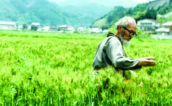 La agricultura natural, aquel espacio de desarrollo espiritual para quien produce alimentos