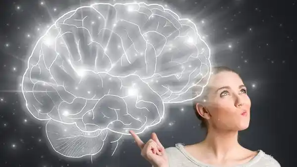 Neurociencias: científica argentina descubrió la “memoria RAM” del cerebro