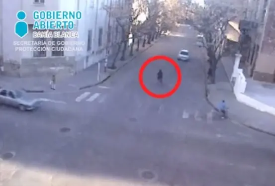 Video: Así atacan los "bicichorros" en Bahía Blanca