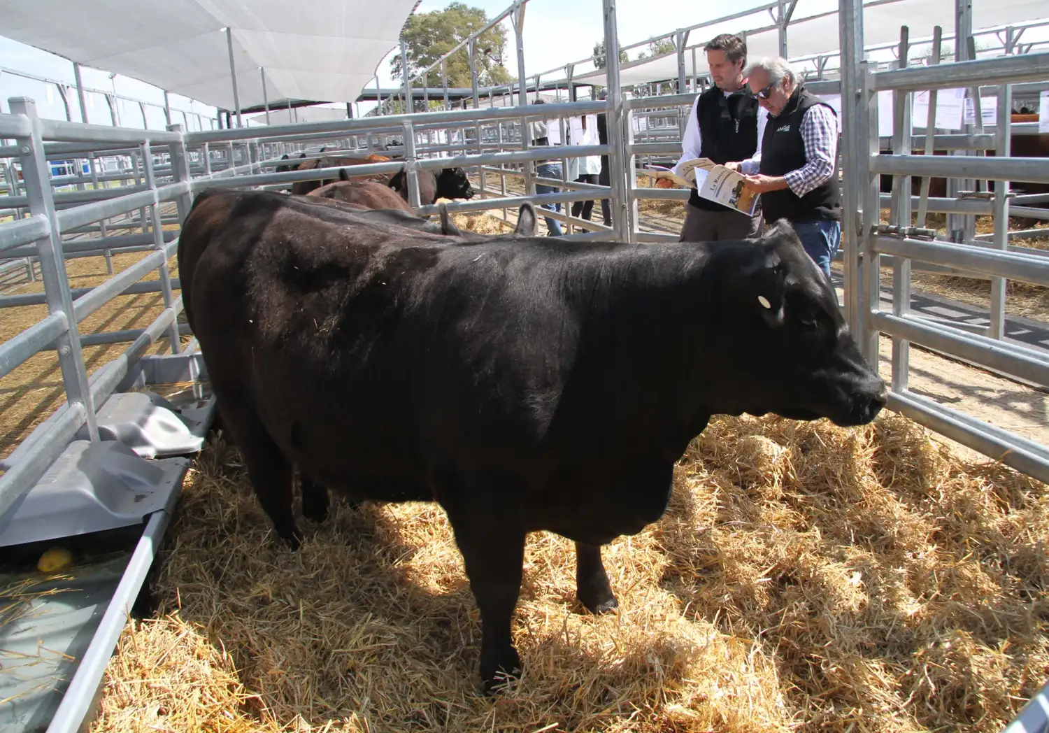 la reserva ventas madres - 8