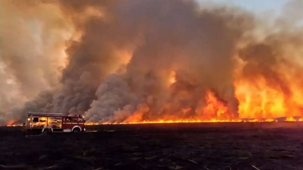 Incendios parana
