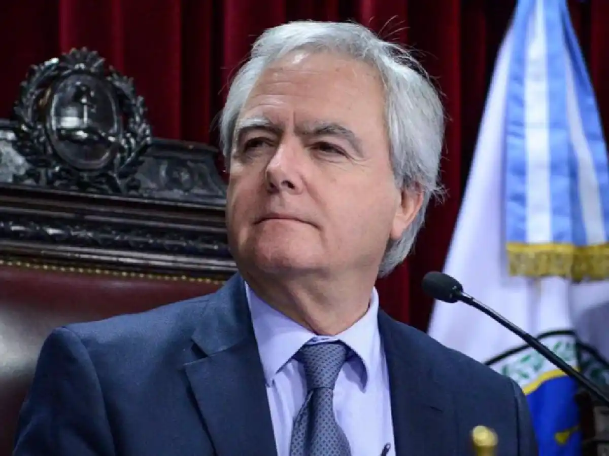 Pinedo: "Hay kirchneristas golpistas y macristas descalificadores y extremistas" 
