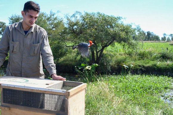 Provincia ya realizó 1.400 rescates de animales