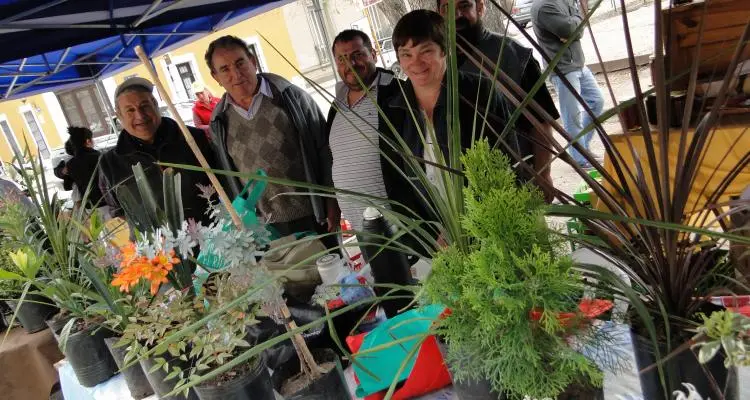 Segunda edición de Frutos de la Tierra y el Río