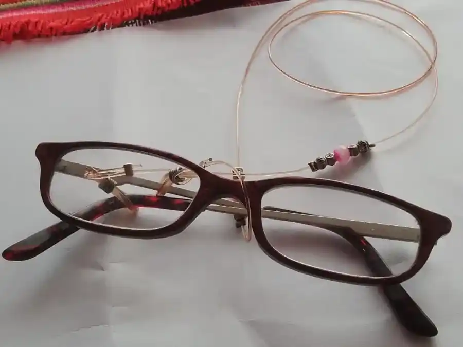 Encontraron estos lentes
